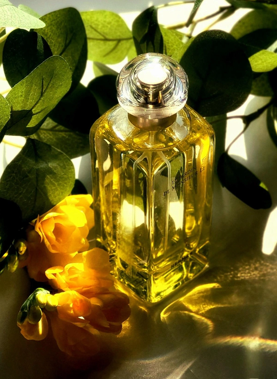 Hermès Le Jardin de Monsieur Li