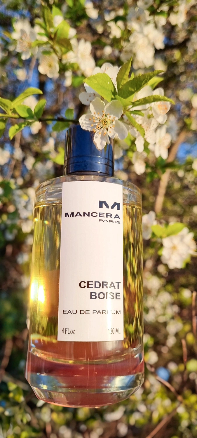 Mancera Cedrat Boise