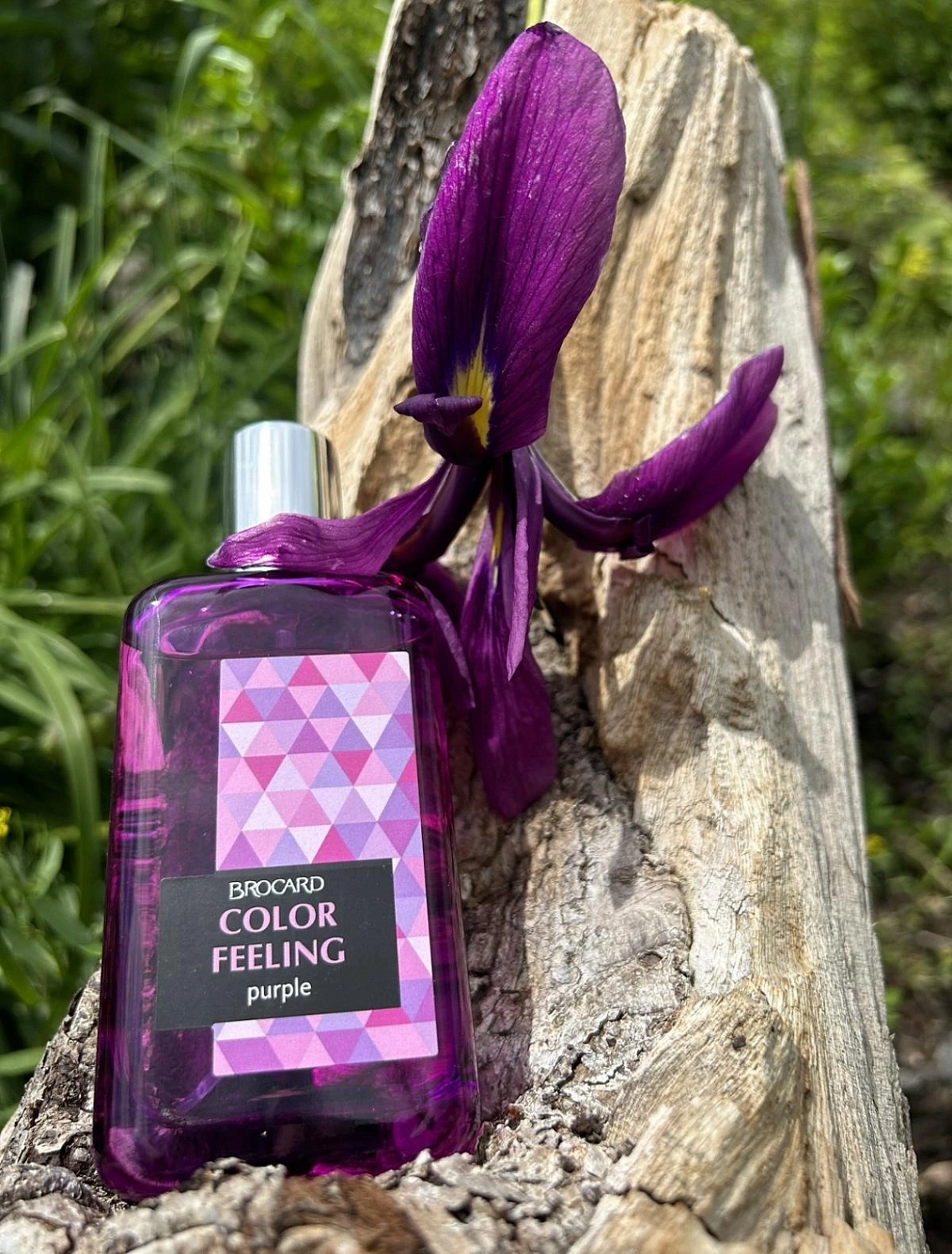 Brocard Color Feeling Purple
