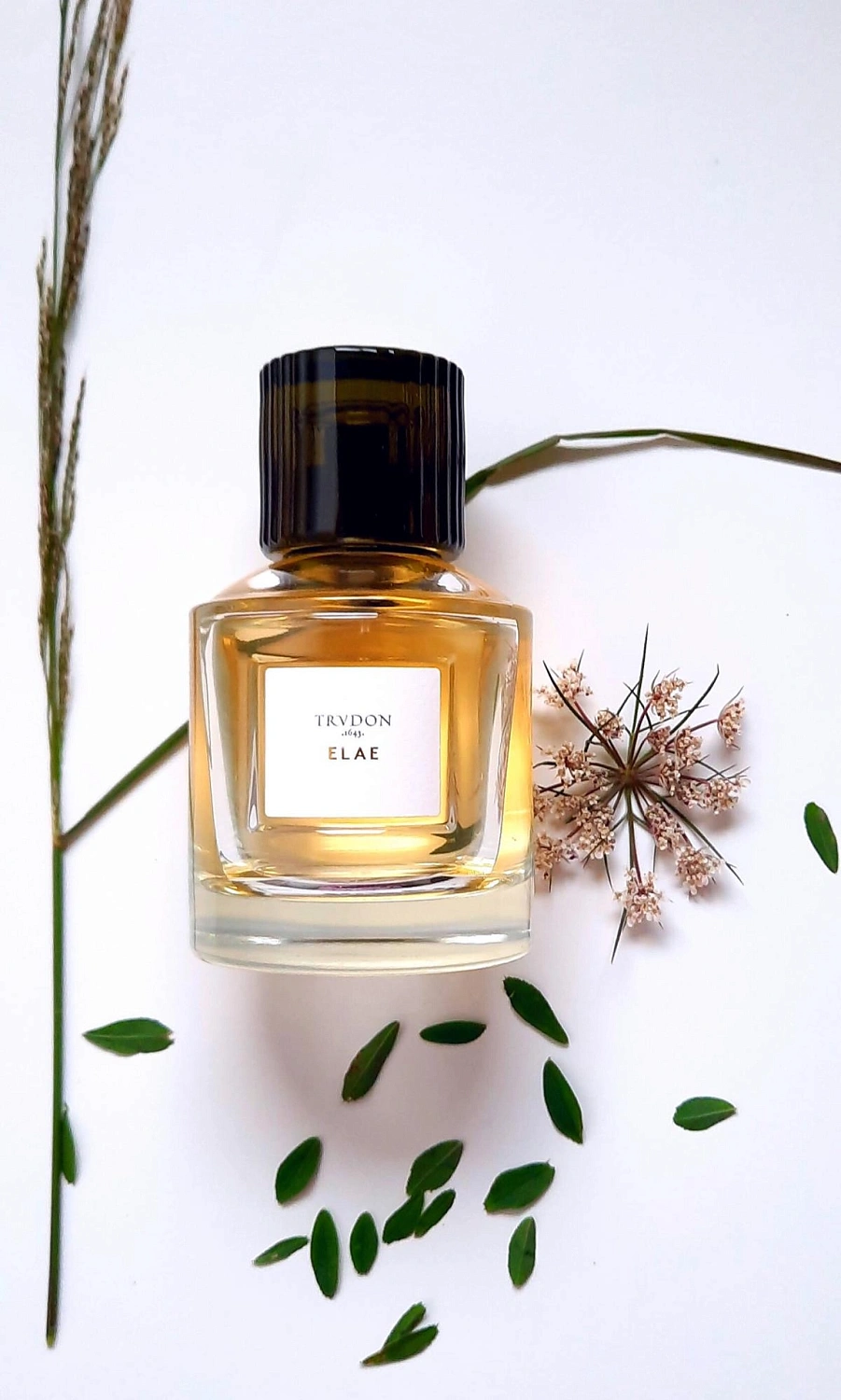 Maison Trudon Elae