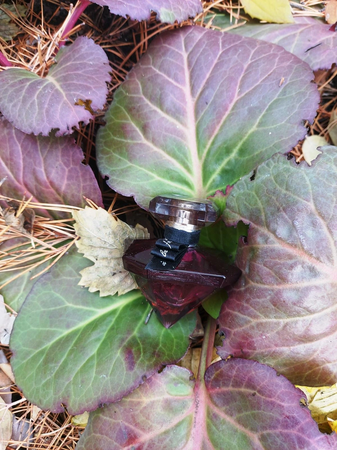 Lancôme La Nuit Tresor a la Folie