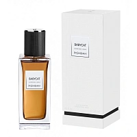Yves Saint Laurent Babycat