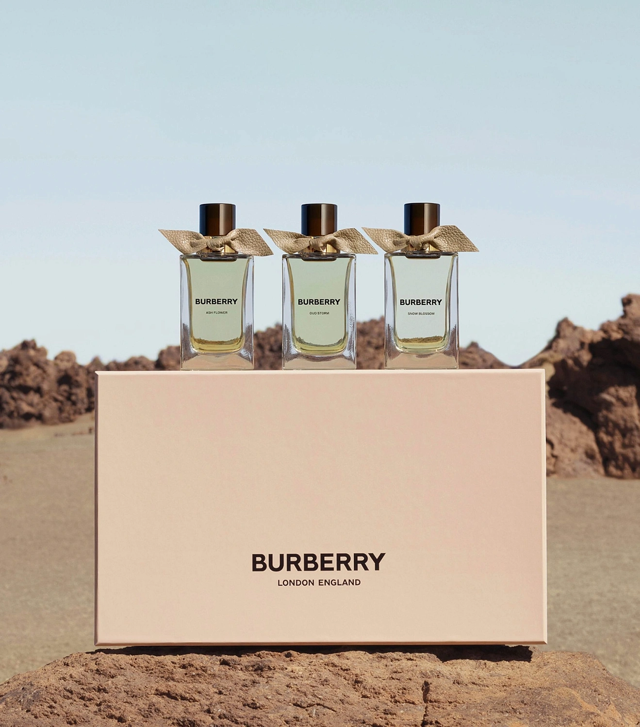 Burberry Ash Flower