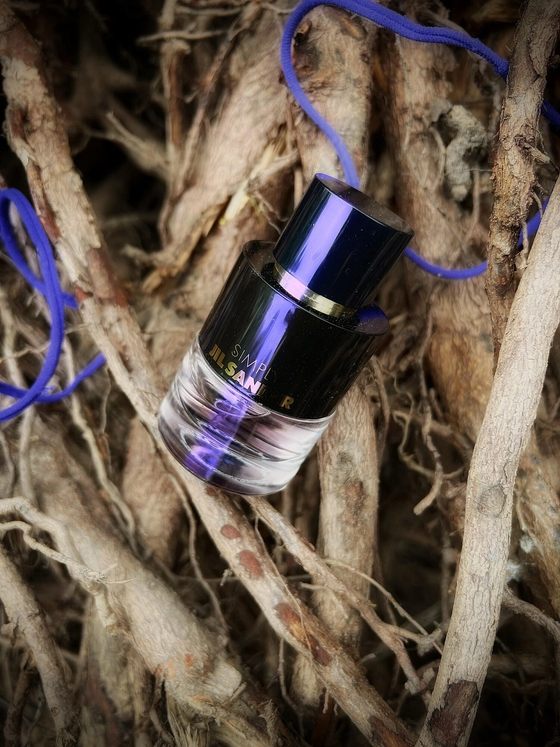 Simply Jil Sander Touch of Violet
