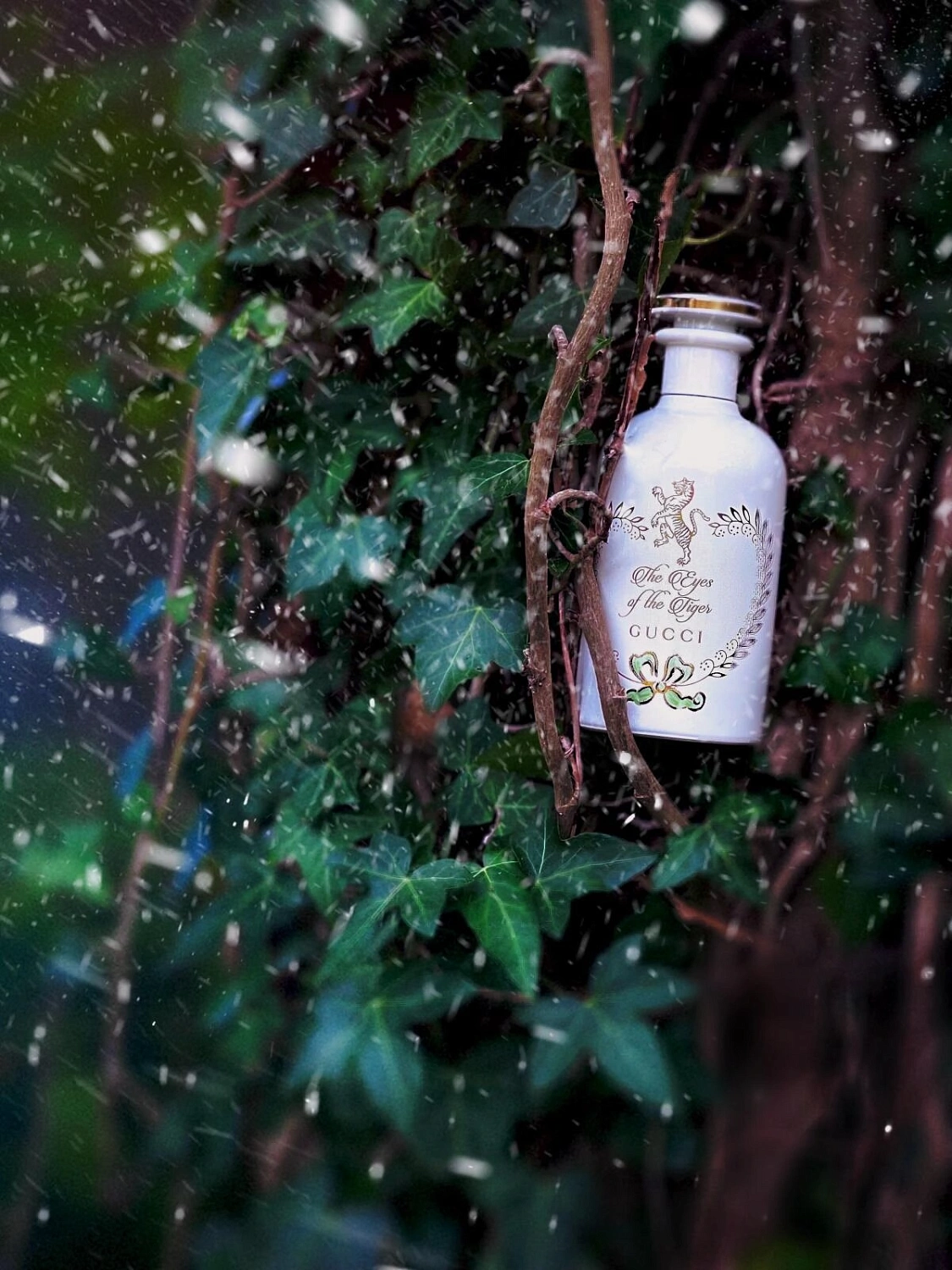 Gucci The Eyes Of The Tiger Eau de Parfum
