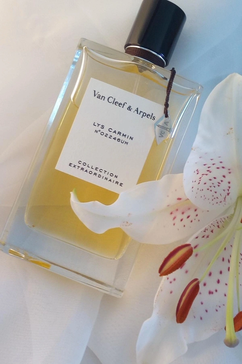 Van Cleef & Arpels Collection Extraordinaire Lys Carmin