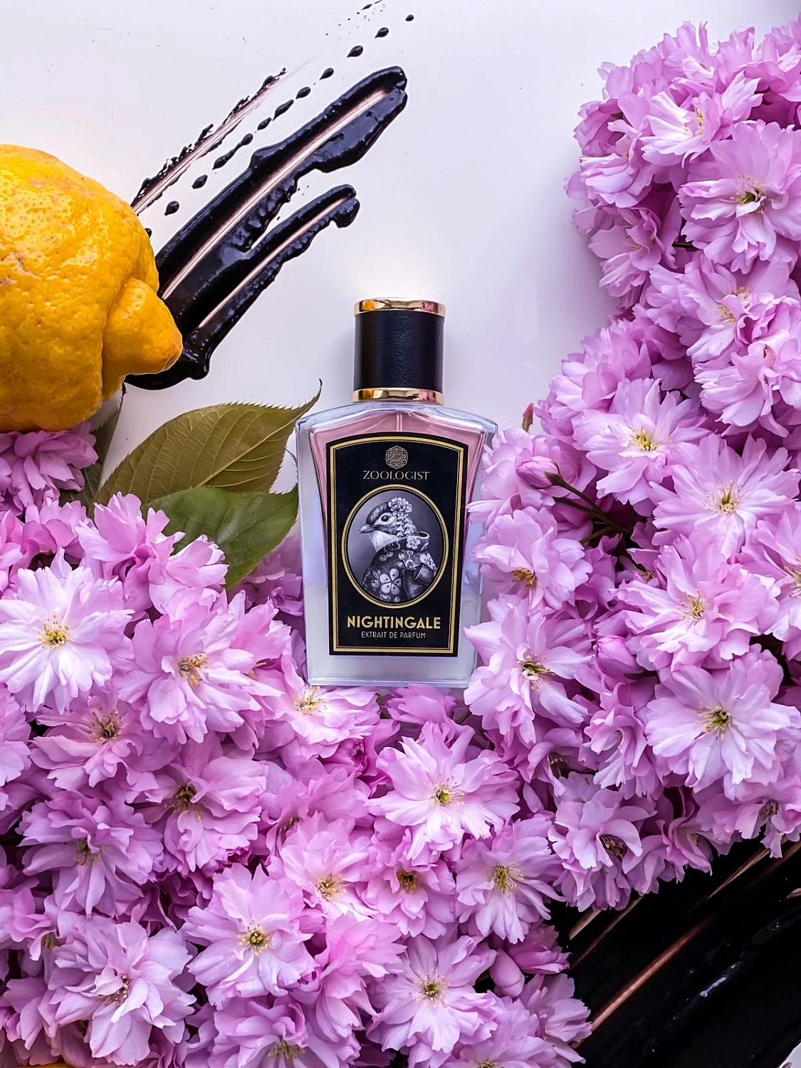 Zoologist Perfumes Nightingale
