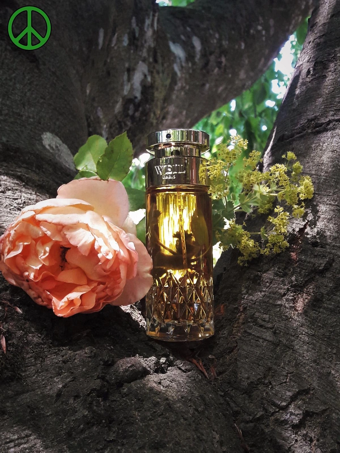 Weil Le Parfum
