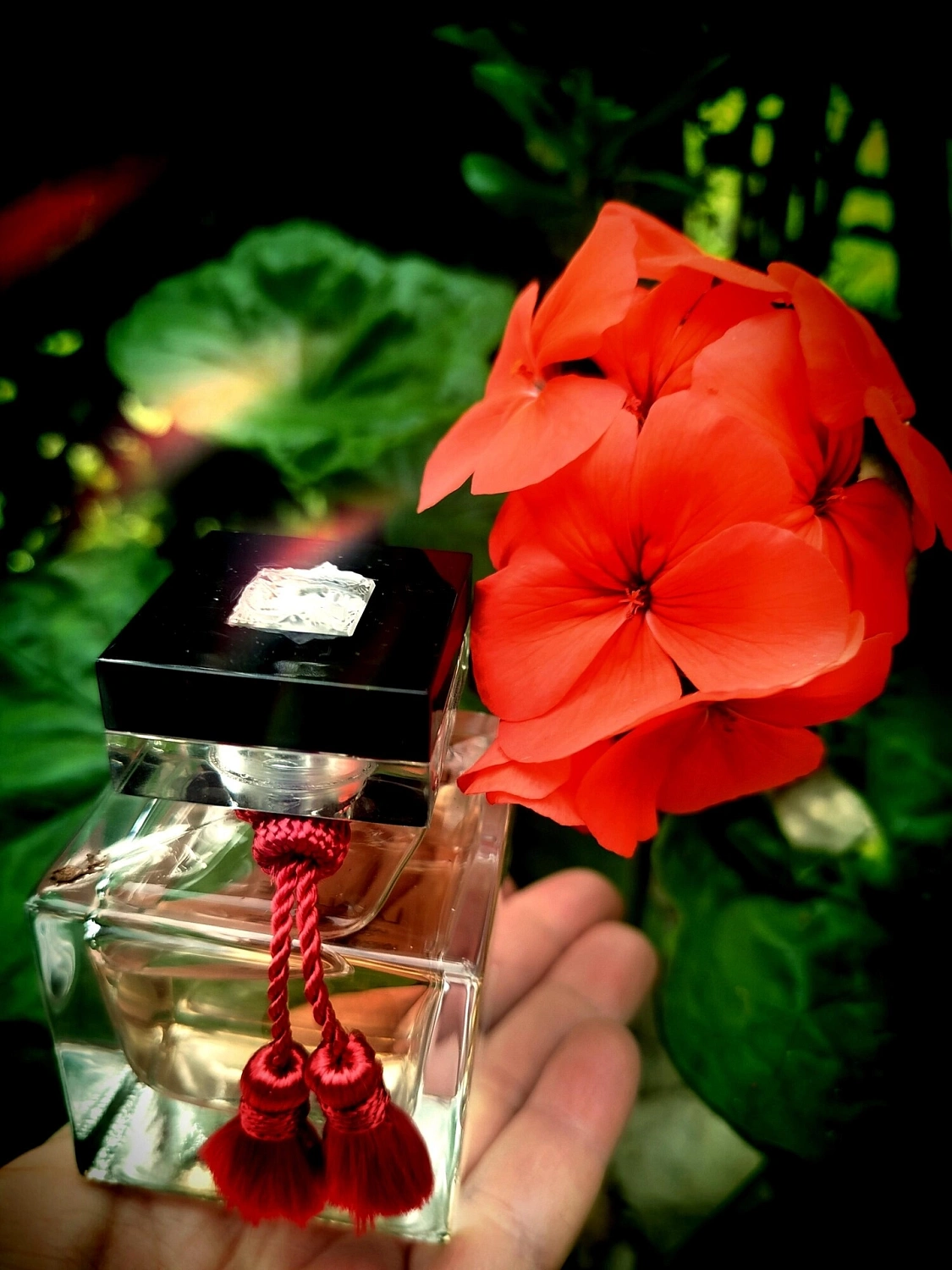 Lalique Le Parfum