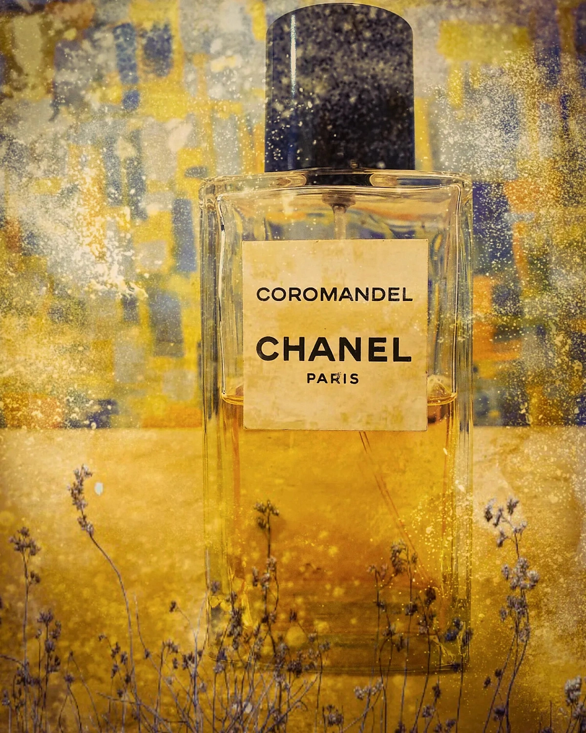 Chanel Coromandel