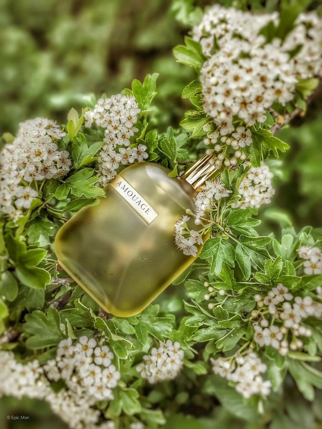 Amouage The Library Collection Opus III