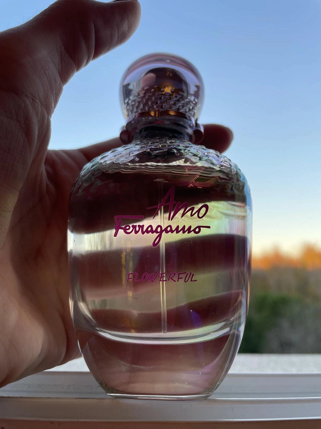 Salvatore Ferragamo Amo Ferragamo