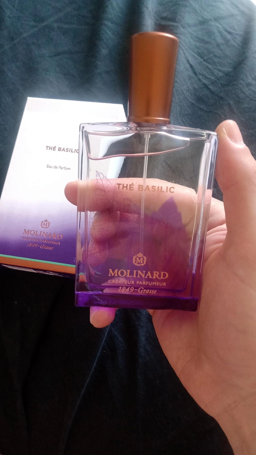 Molinard The Basilic