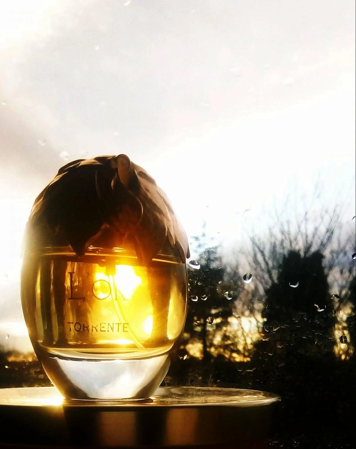 L'Or de Torrente