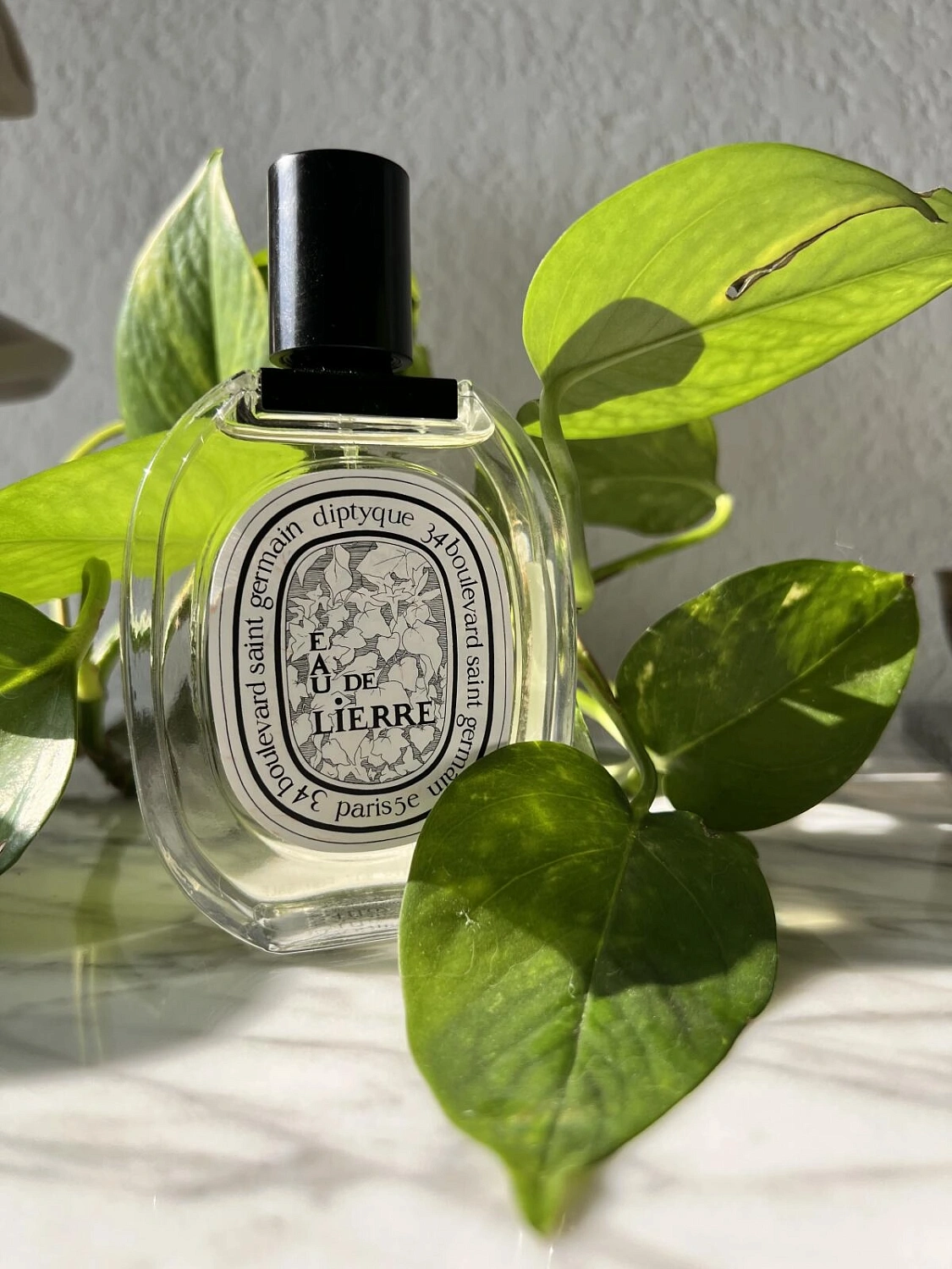 Diptyque L'Eau de Lierre