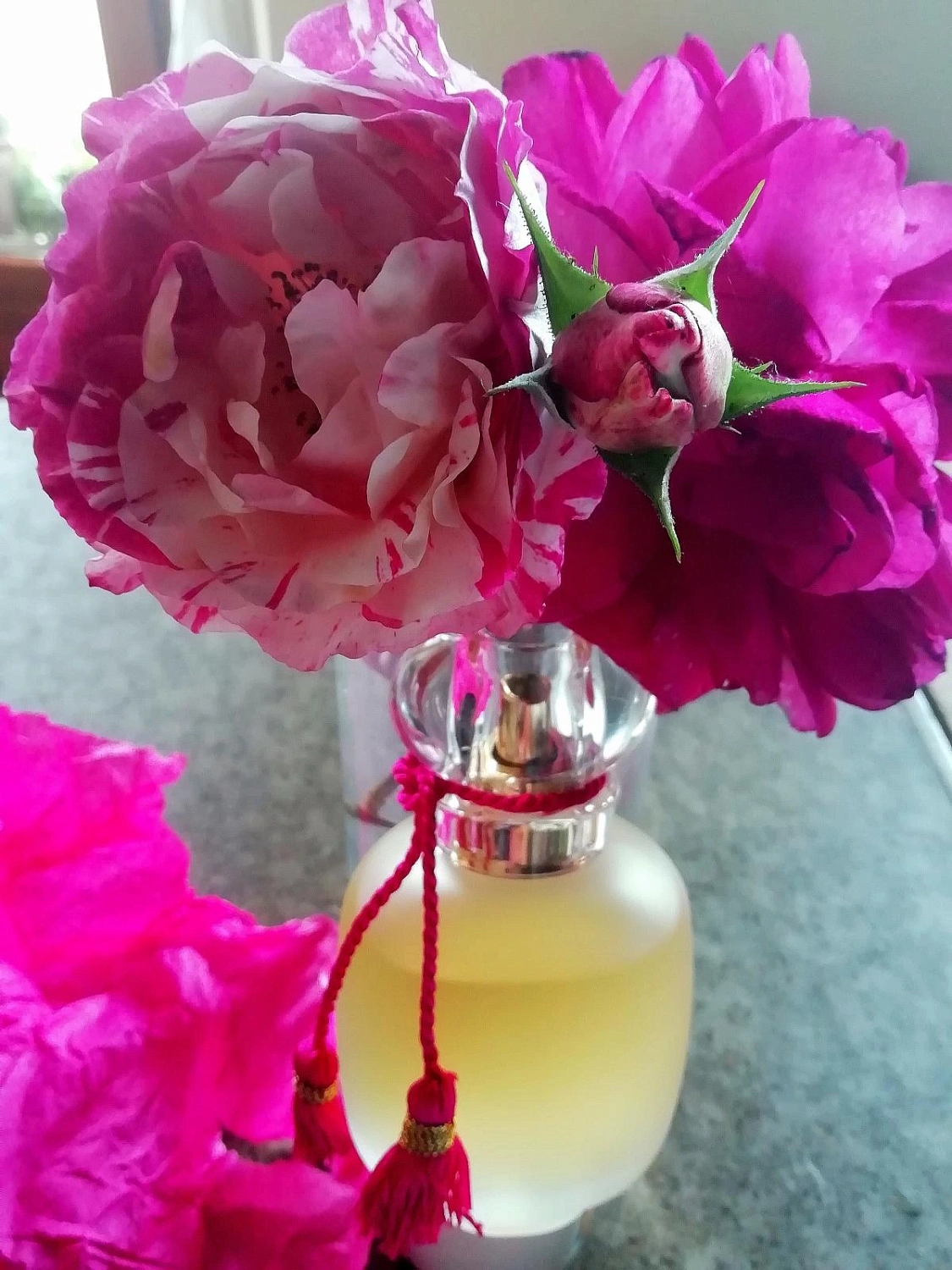 Les Parfums de Rosine La Rose de Rosine