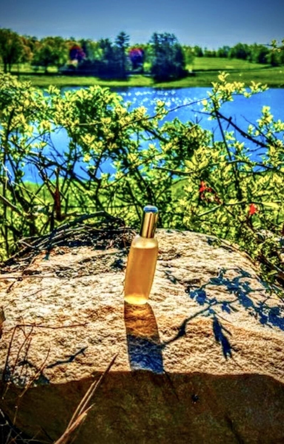 Clinique Aromatics Elixir