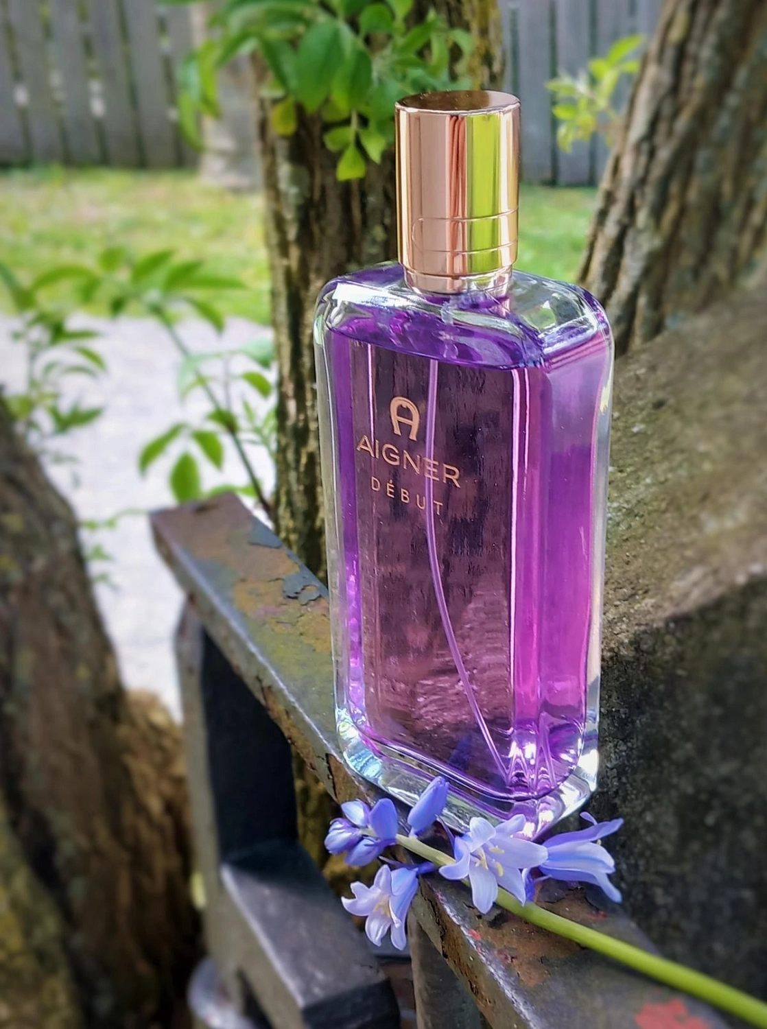 Aigner Debut