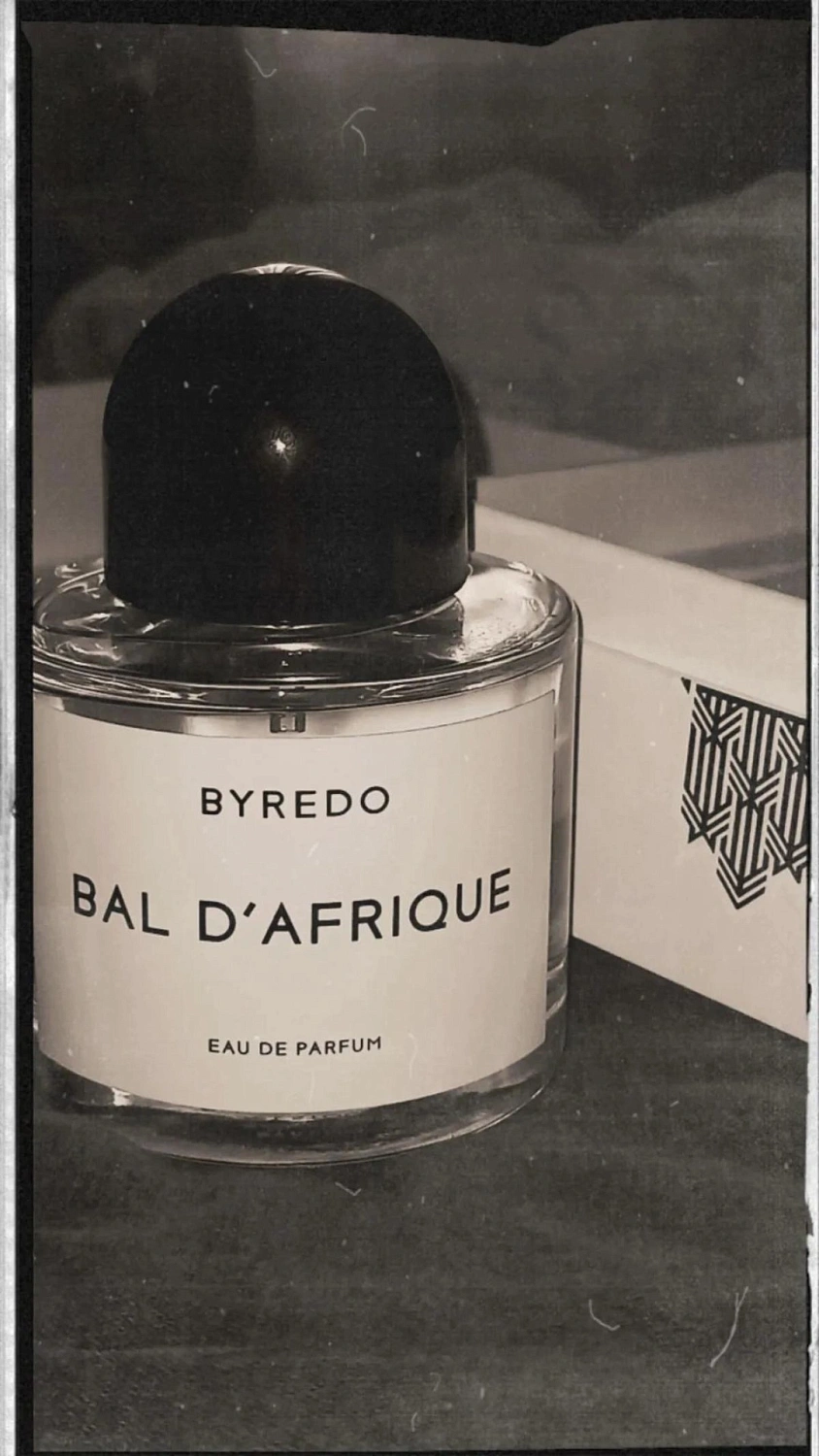 BYREDO Bal d'Afrique