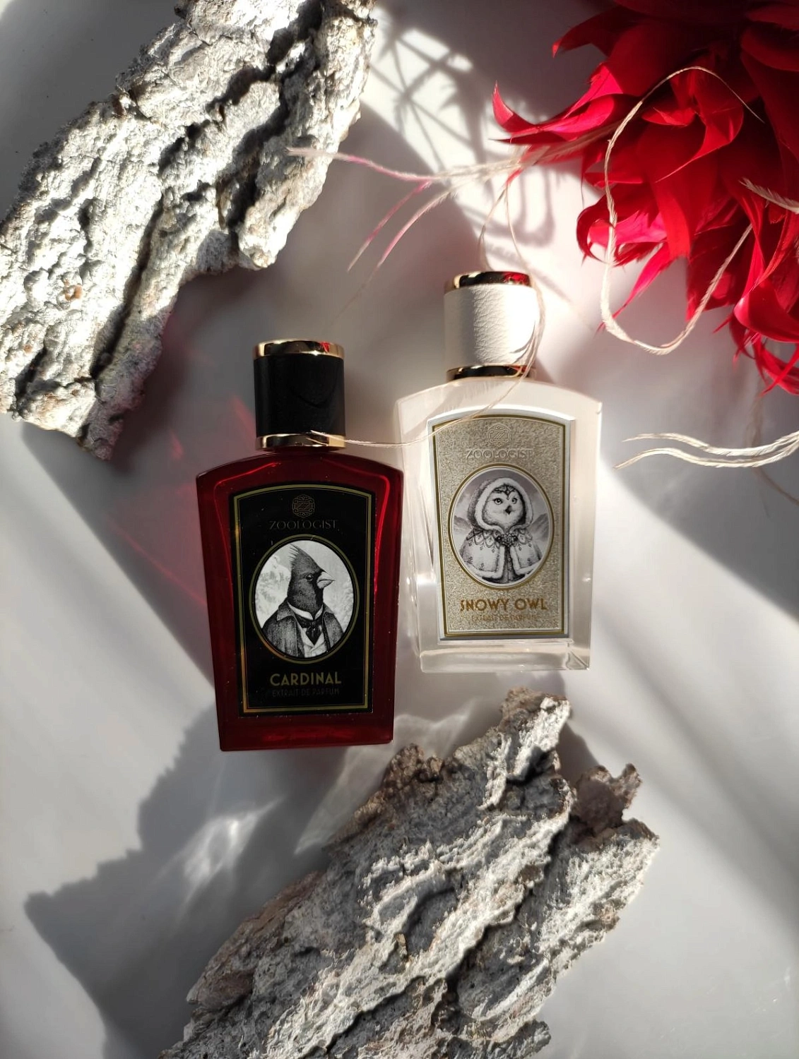 Zoologist Perfumes Snowy Owl