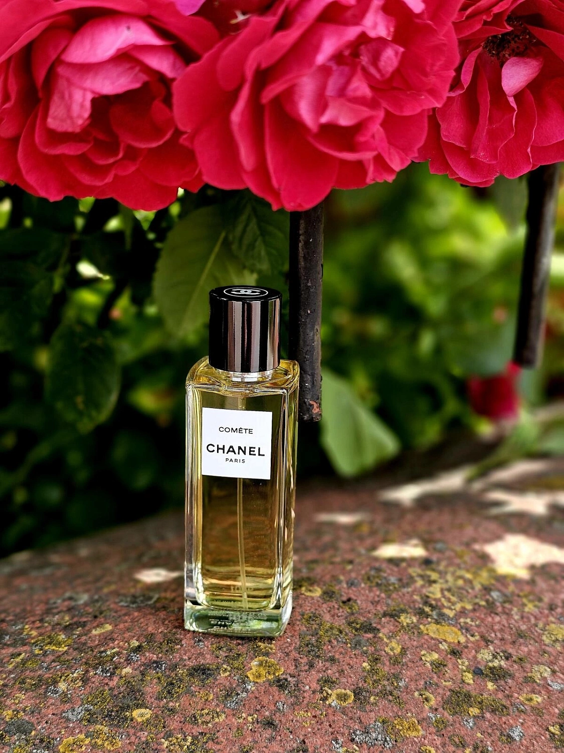Chanel Comete