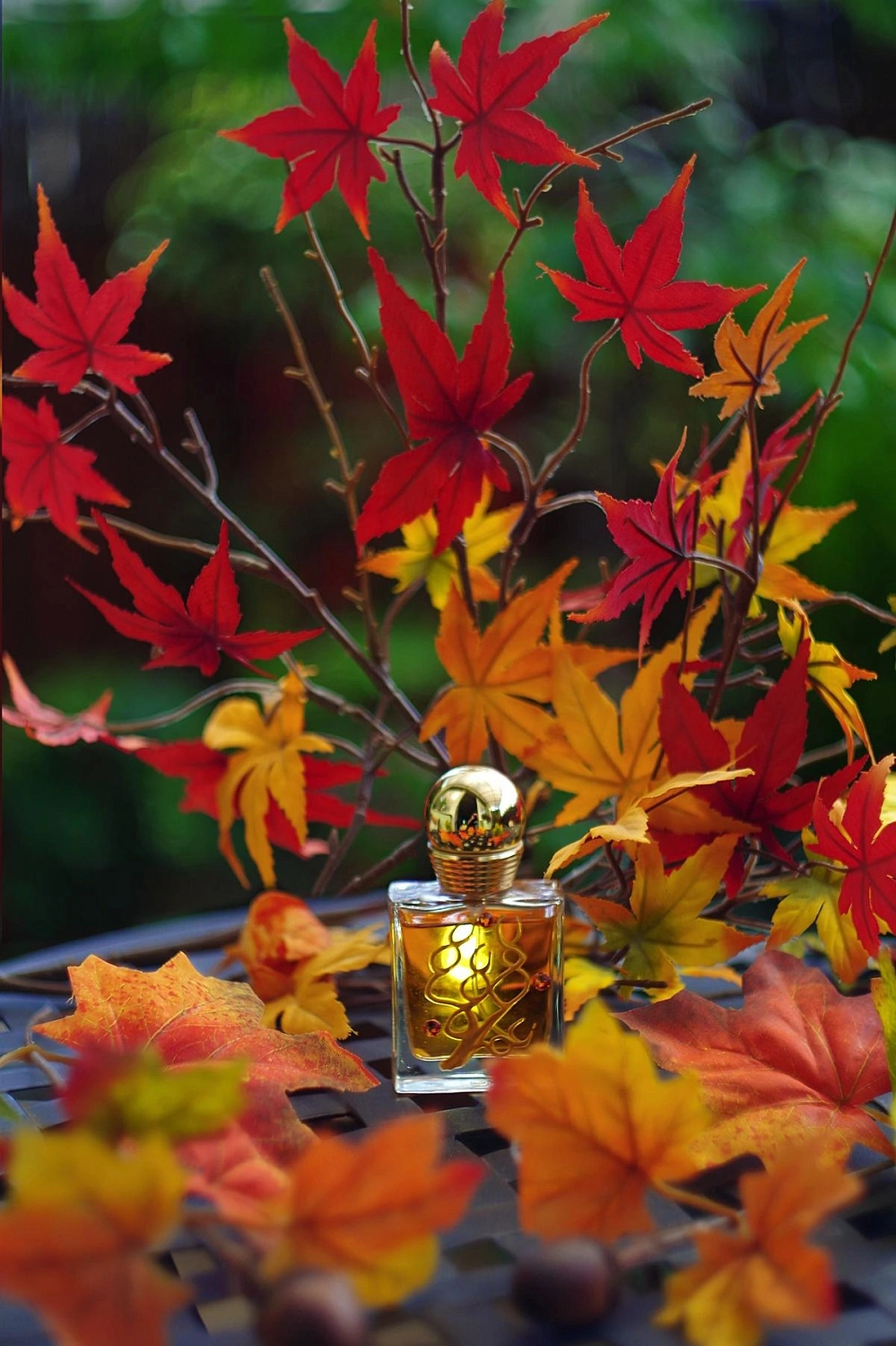M.Micallef Automne