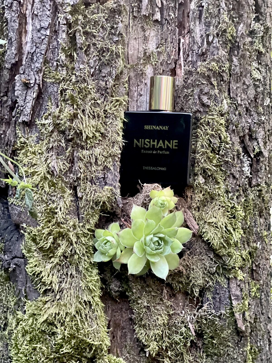 Nishane Shinanay