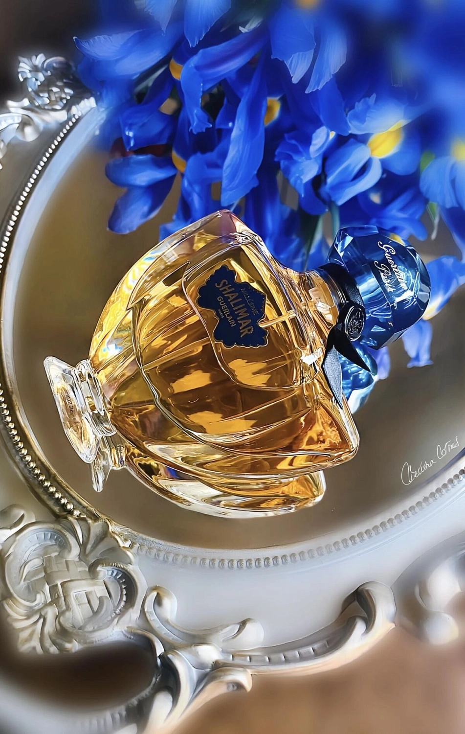 Guerlain Shalimar Millesime Iris