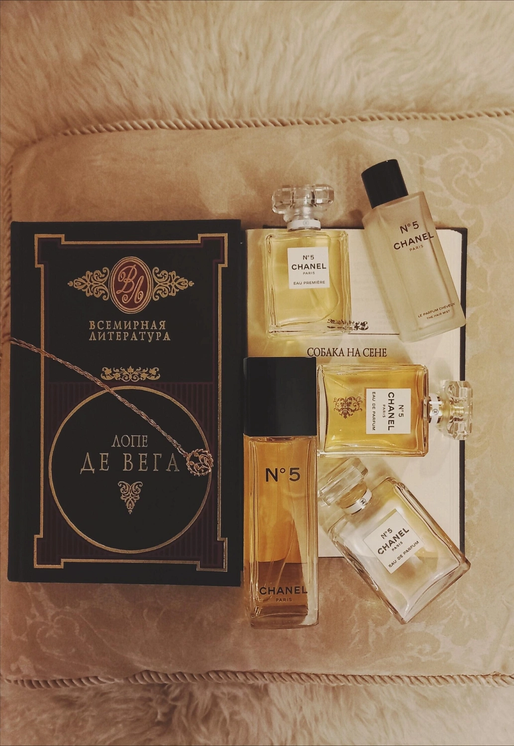 Chanel N°5 Eau Premiere