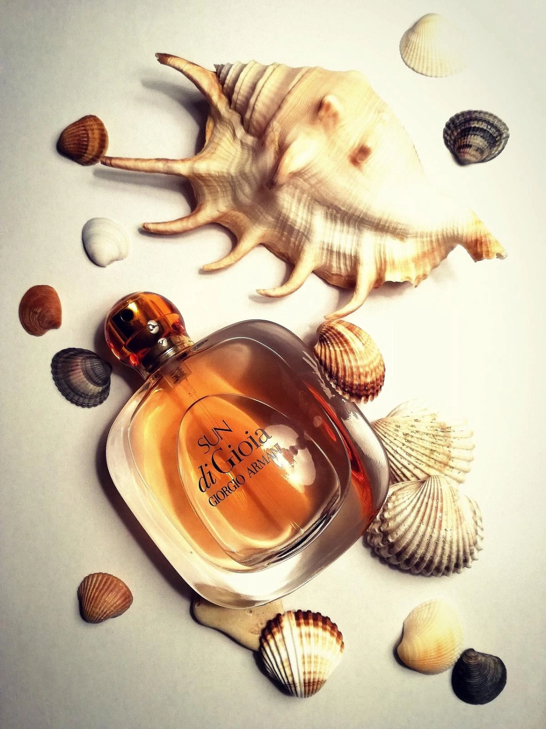 Armani Sun di Gioia