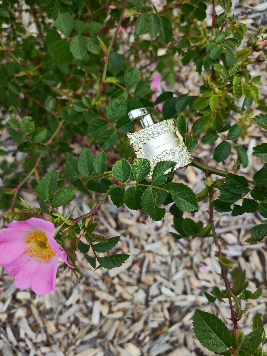 Oscar de la Renta Bella Essence