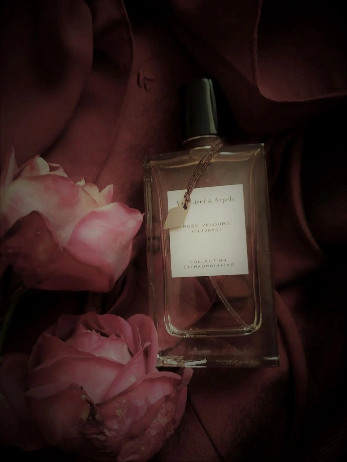 Van Cleef & Arpels Collection Extraordinaire Rose Velours