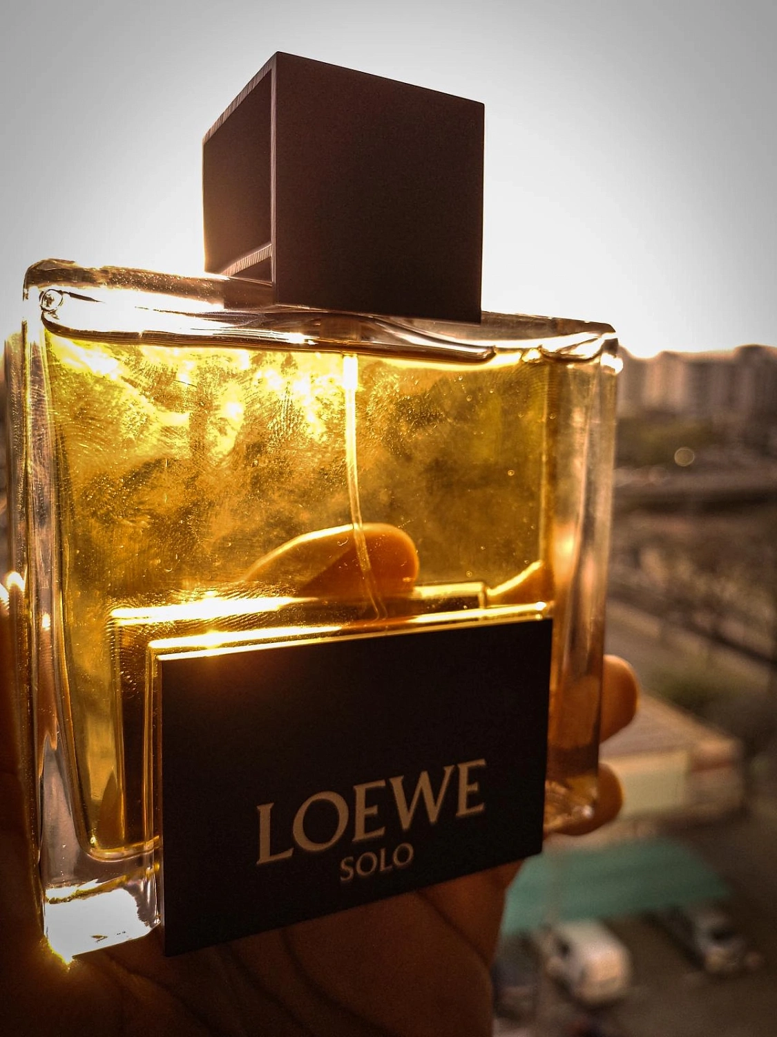 Loewe Solo