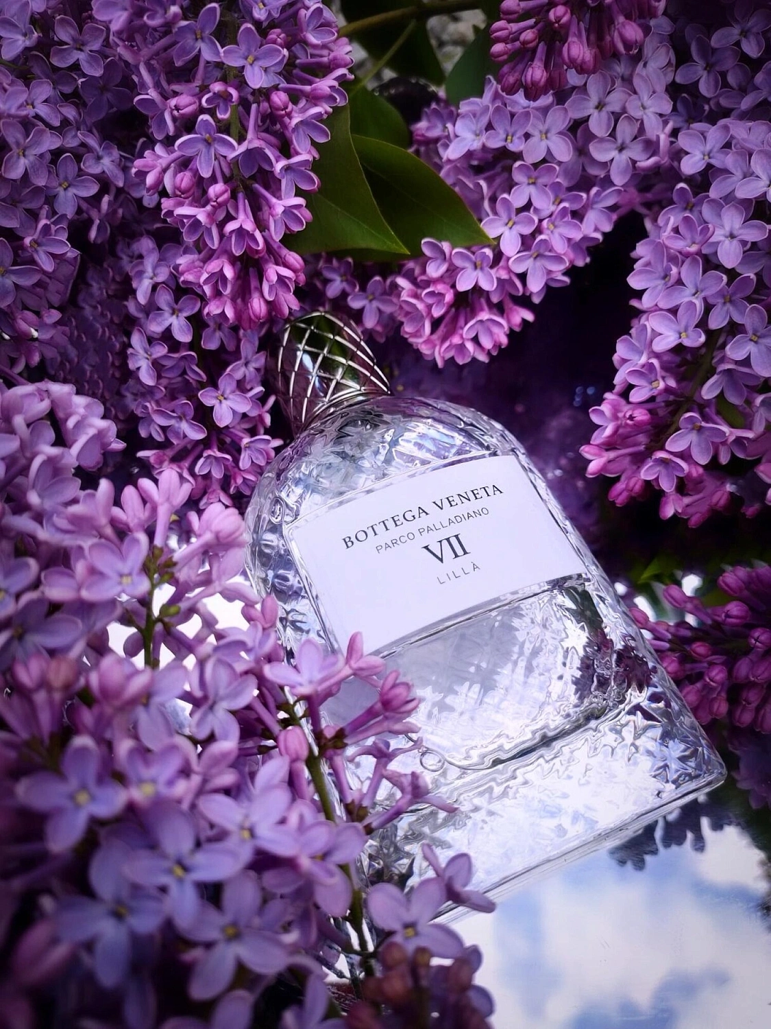 Bottega Veneta Parco Palladiano VII: Lilla