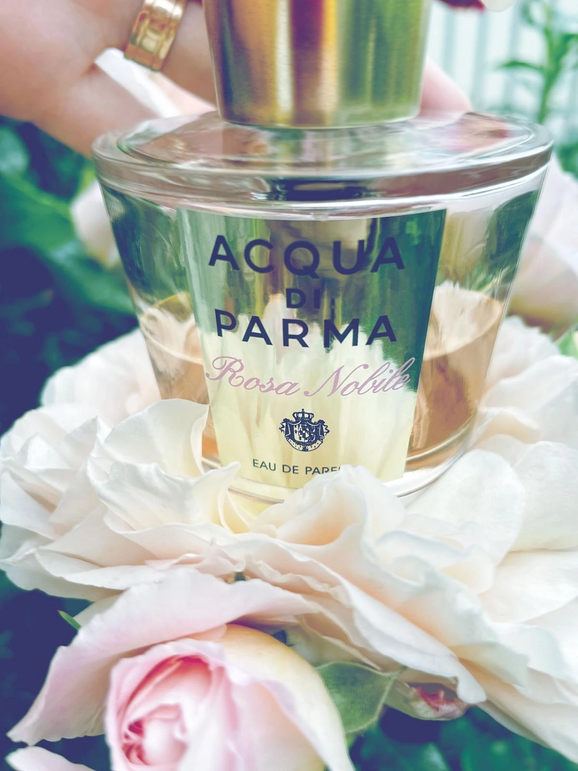 Acqua di Parma Rosa Nobile