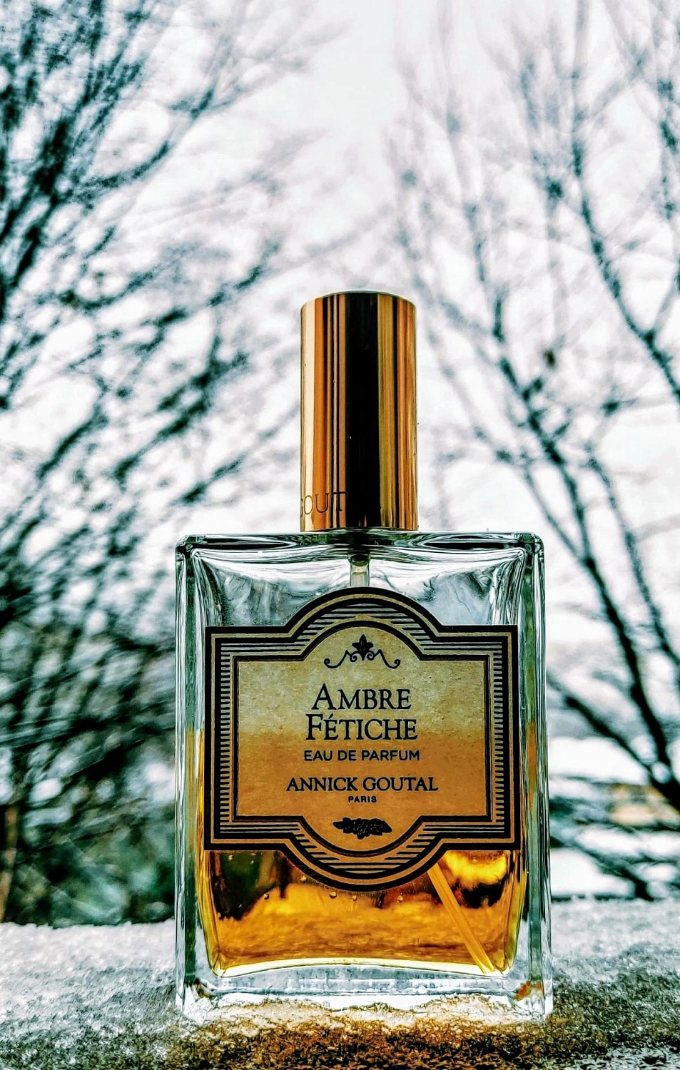 Annick Goutal Ambre Fetiche