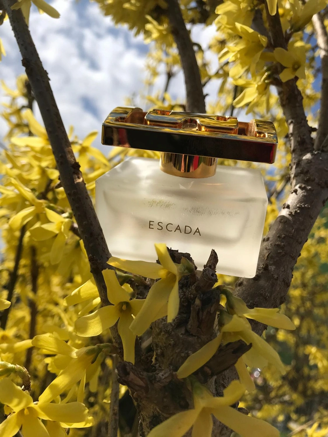 Especially Escada Delicate notes