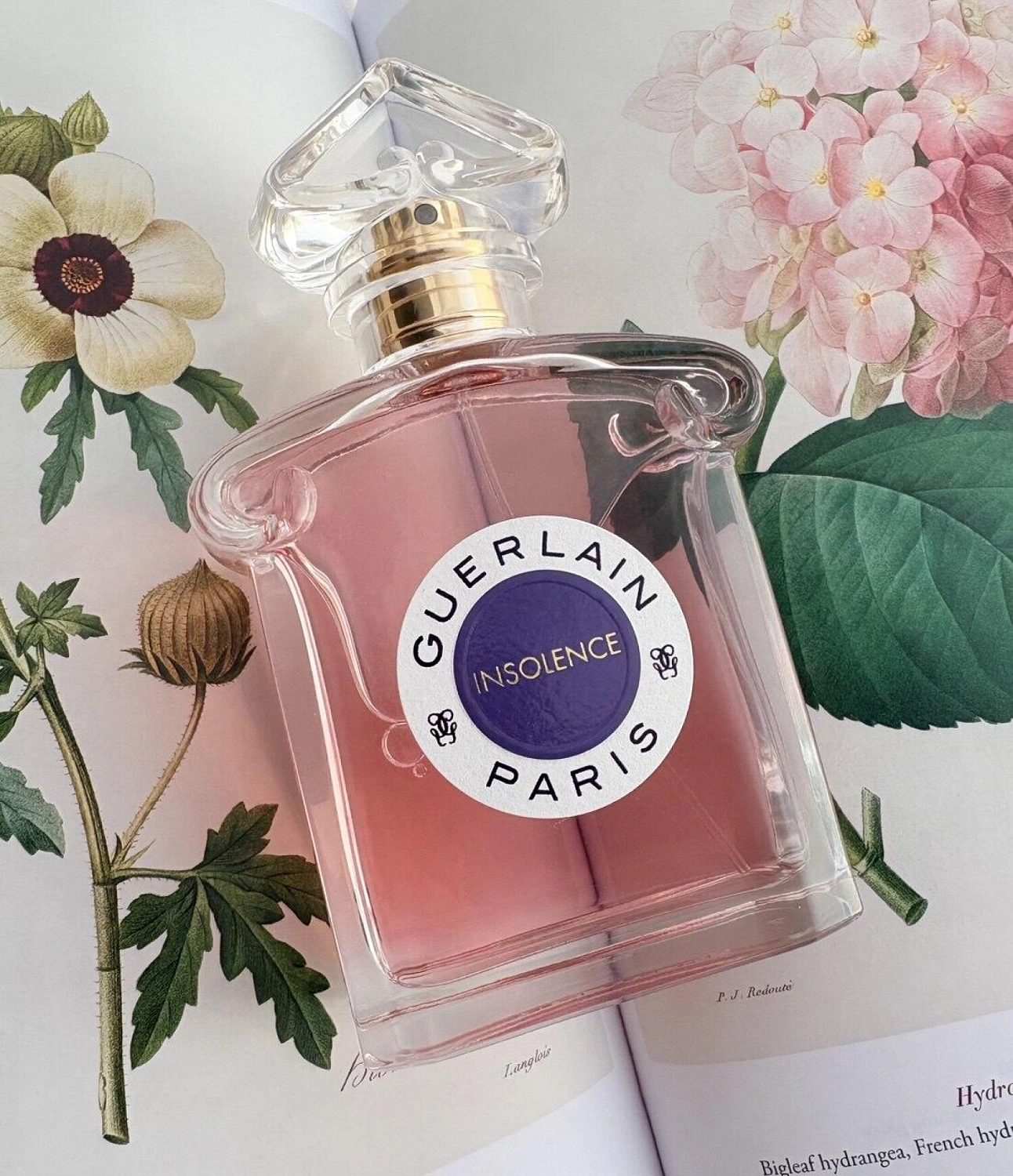 Guerlain Insolence Eau de Toilette