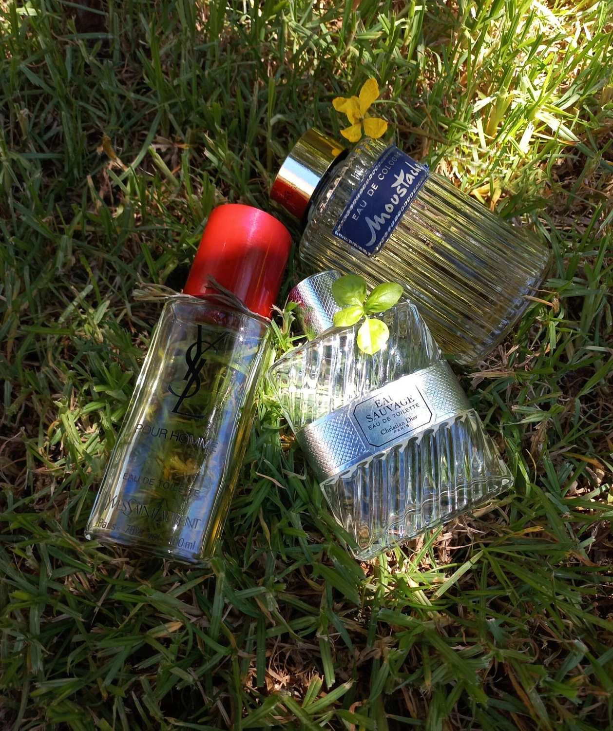 Yves Saint Laurent Parfum Pour Homme