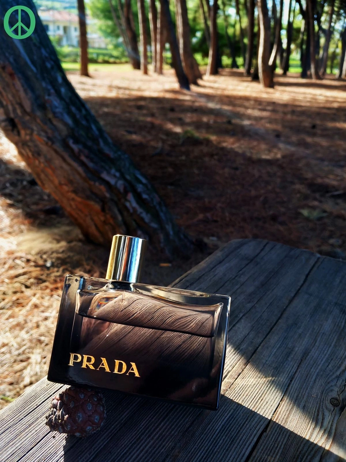 Prada L'Eau Ambree