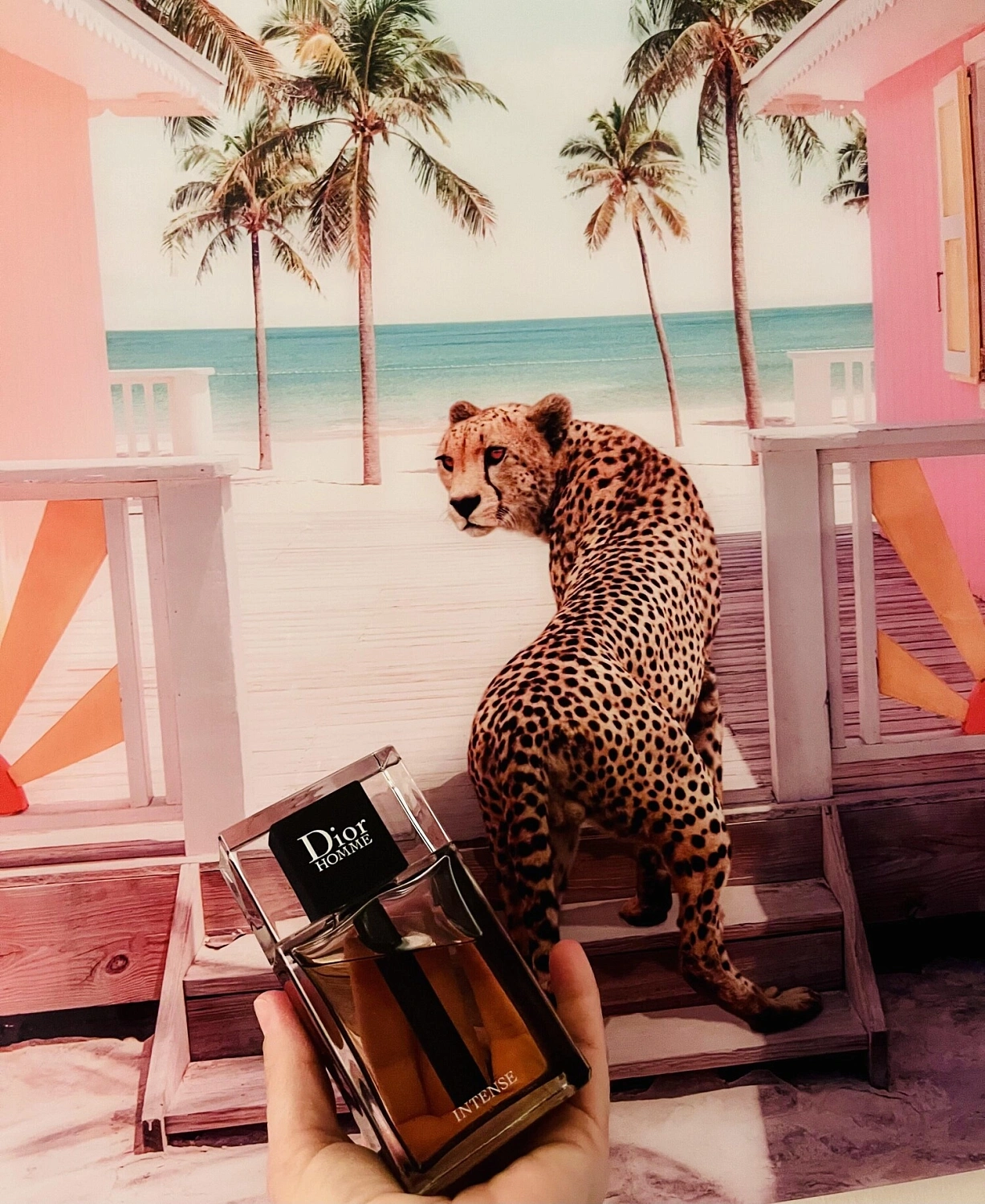 Christian Dior Homme Intense