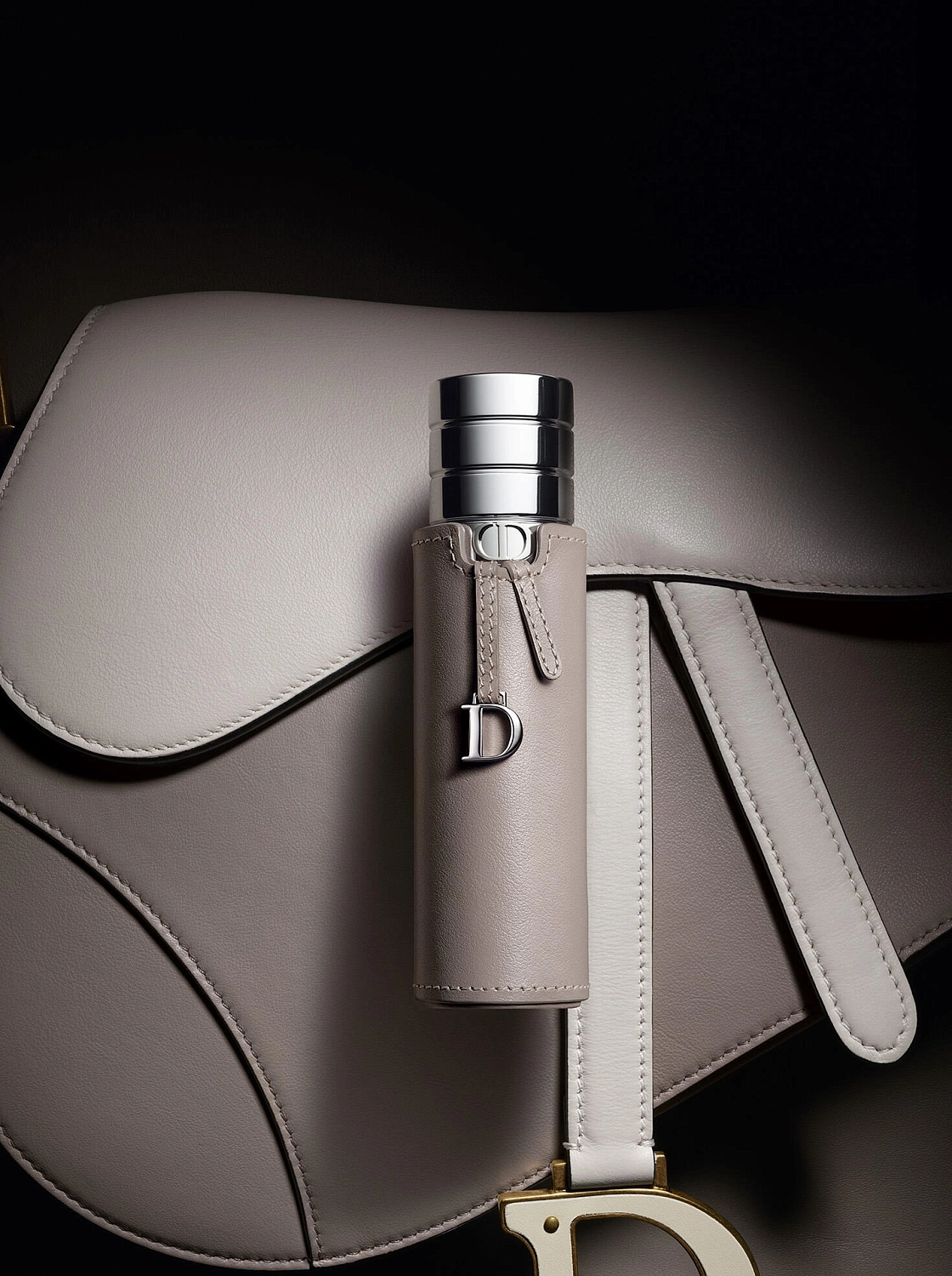 Christian Dior Cuir Saddle