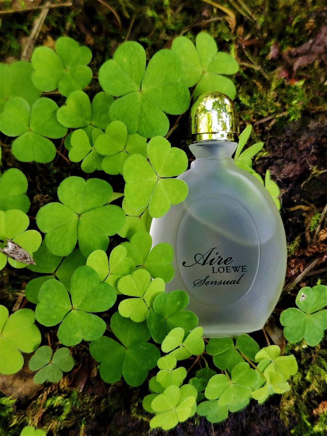 Loewe Aire Sensual
