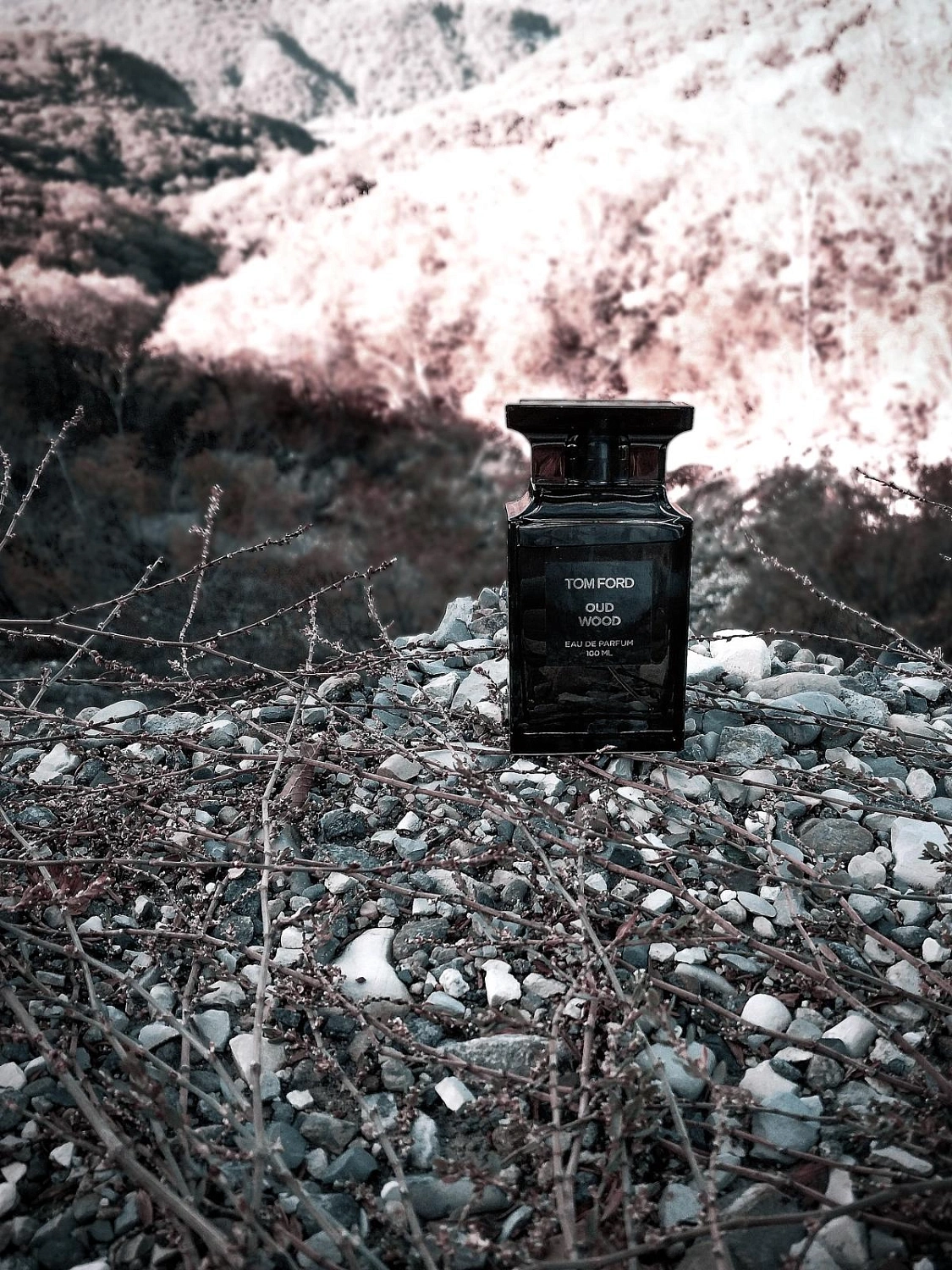 Tom Ford Oud Wood