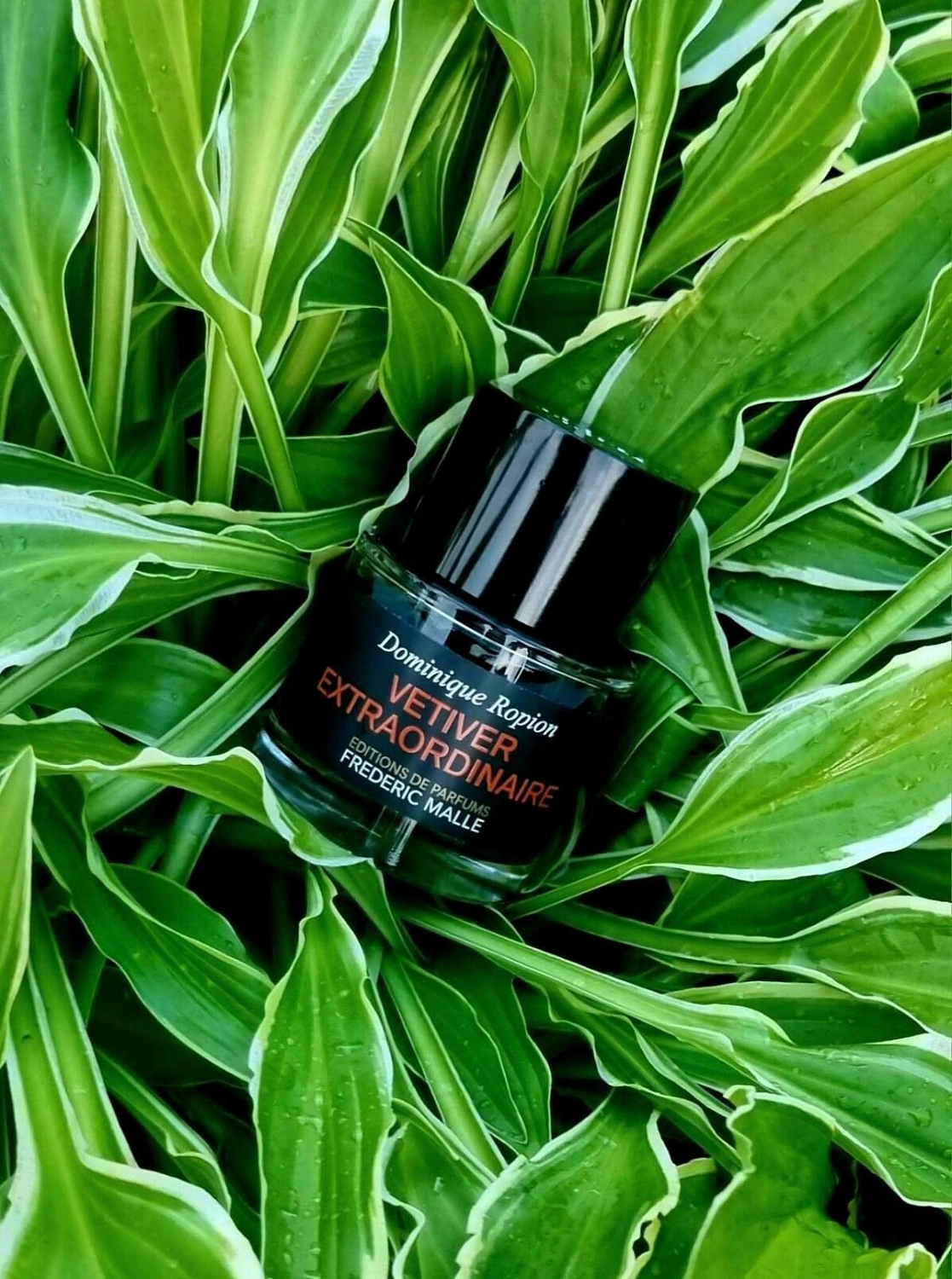 Frédéric Malle Vetiver Extraordinaire