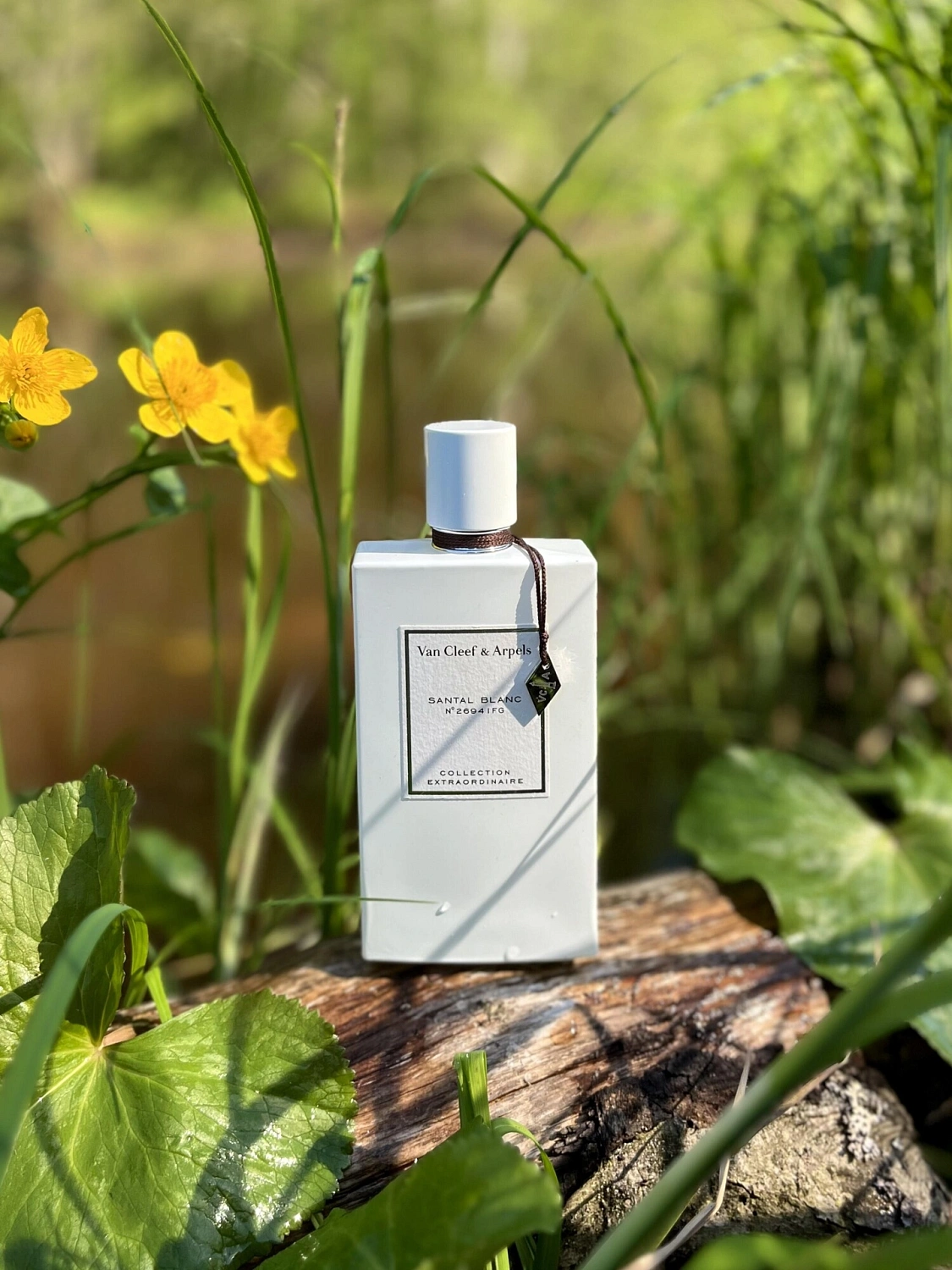 Van Cleef & Arpels Collection Extraordinaire Santal Blanc