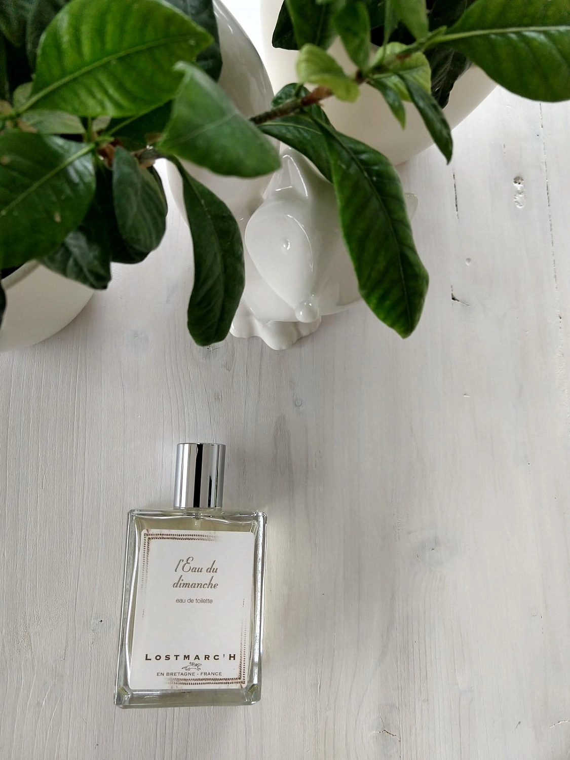 Lostmarch L'Eau du Dimanche