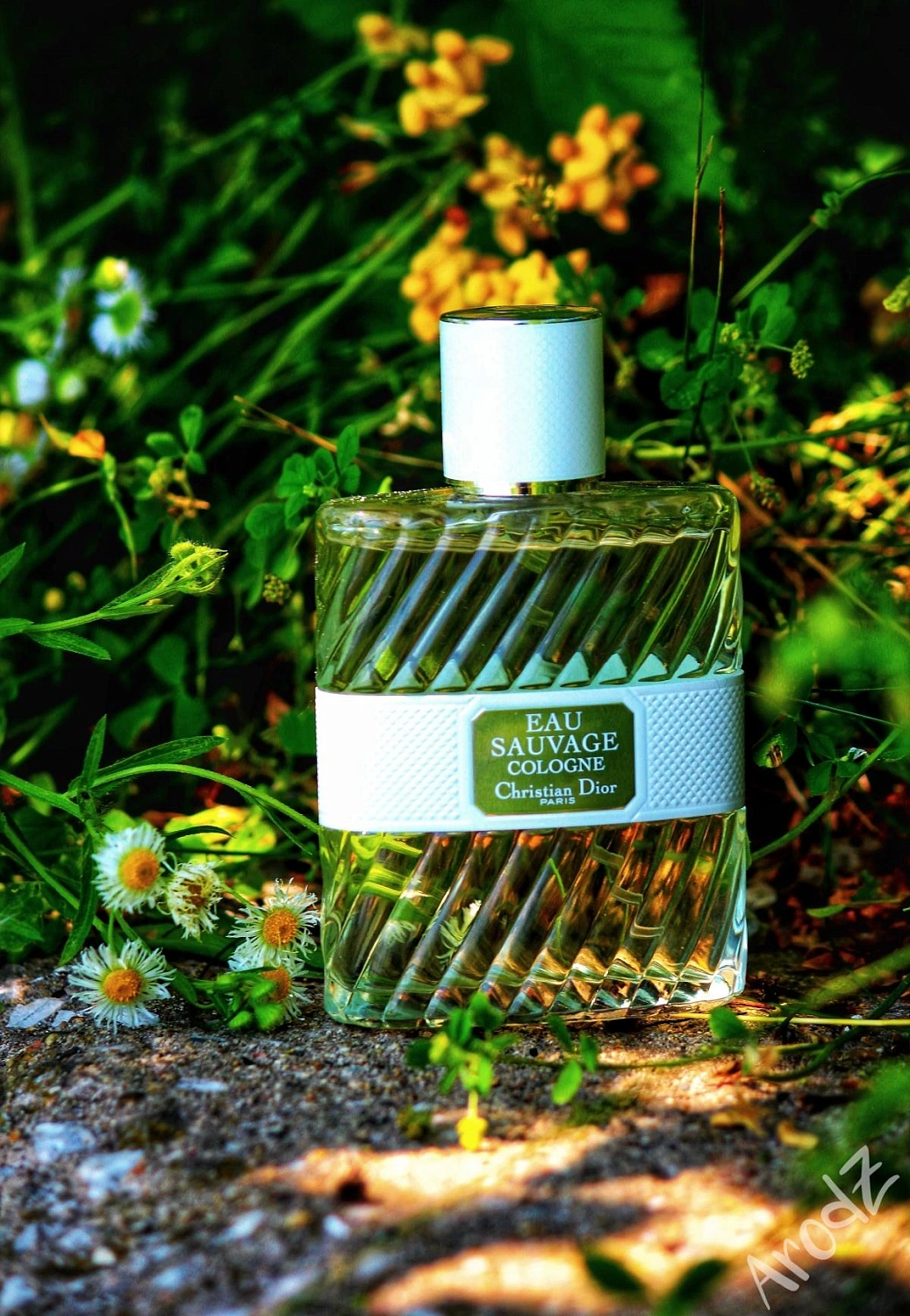 Christian Dior Eau Sauvage Cologne
