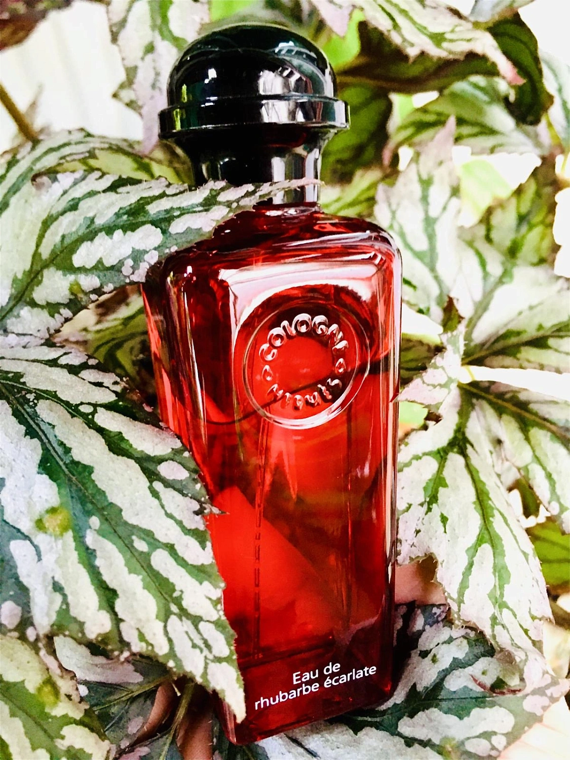 Hermès Eau de Rhubarbe Ecarlate