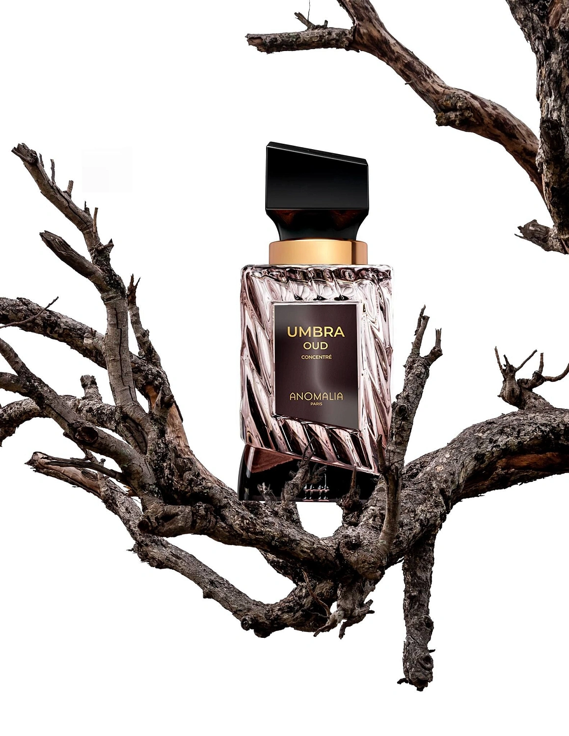 Anomalia Umbra Oud